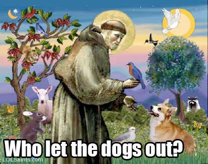 Who let the dogs out? St. Francis of Assisi with Animals