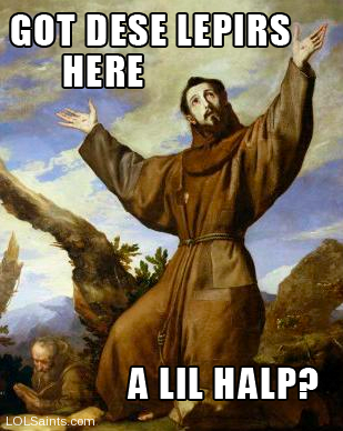 Saint Francis of Assisi wants some help with da lepirs.