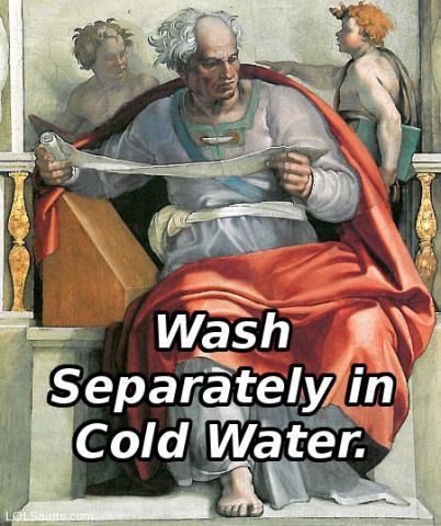 Wash separately in cold water. Joel in the Sistine Chapel