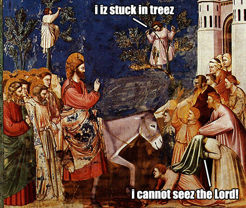 i iz stuck in tree - i cannot see the lord - passion sunday